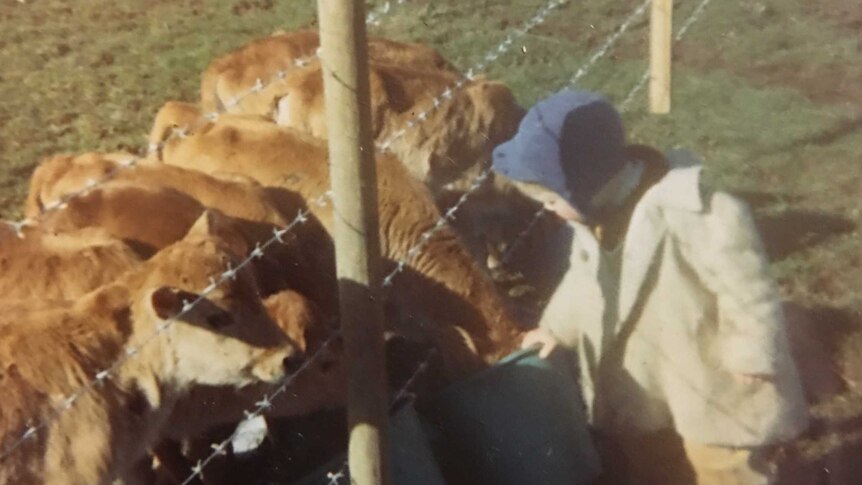 Tim Marwood as a young child helping to feed calves at the family farm