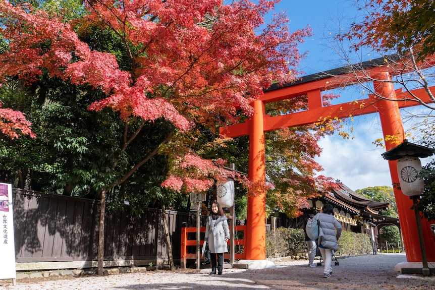 Autumn at a Shinto shrine in Kyoto.