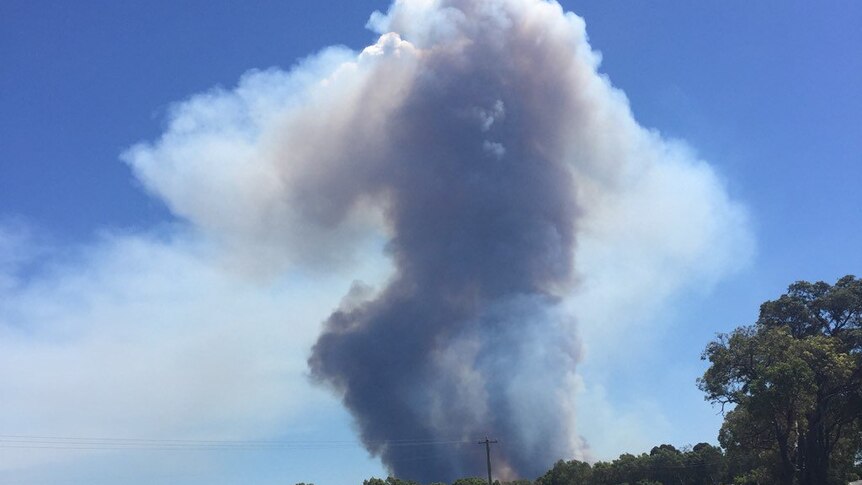 A tall pillar of smoke is pitched into the blue sky from a bushfire at uduc in WA's South West.