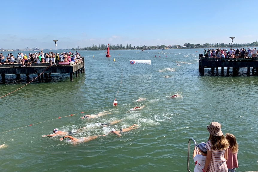 people watch on from the jetties as dozens of swimmer head back to shore