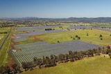 A drone shot of a massive solar farm, green paddocks and hills in the distance.