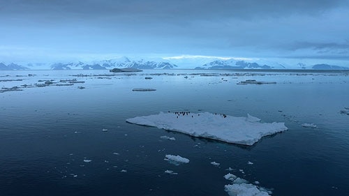 Floating ice: