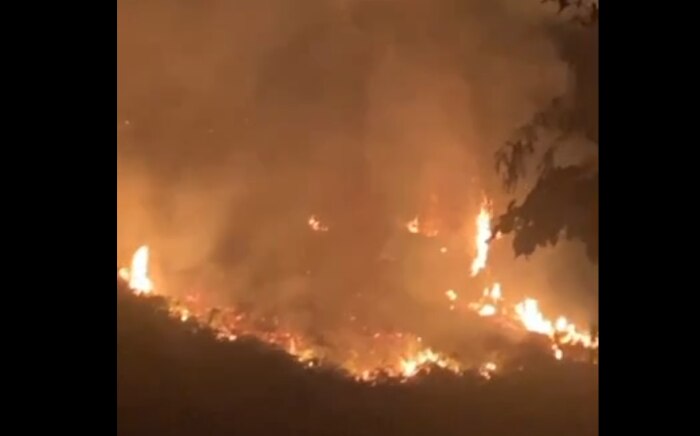 Wildfire iwok long kukim bik bus long Lou ailan long Manus