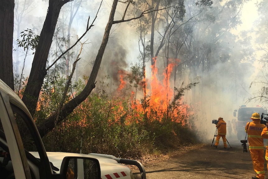 Camera crews in yellow protective suits filming flames in bush with firefighters nearby.