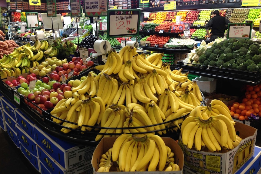 Bananas on display at South Melbourne Markets