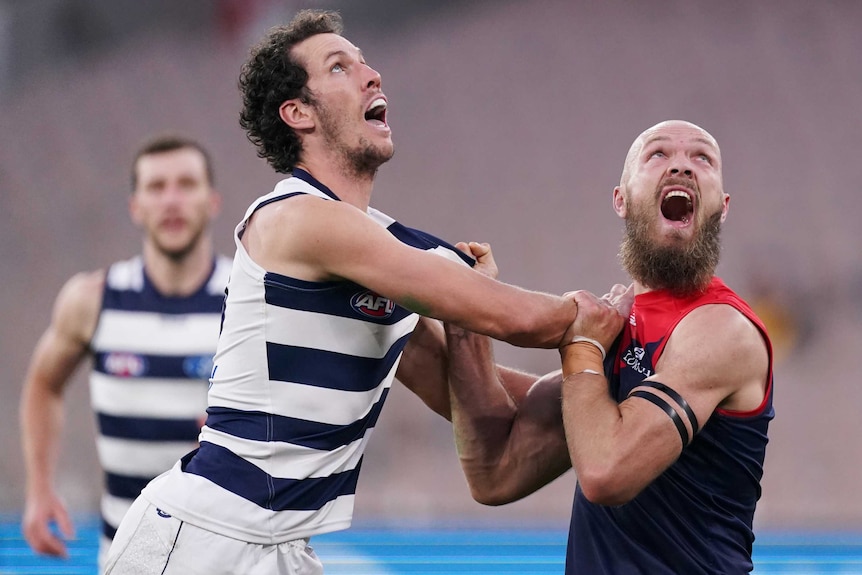 Two AFL players from Geelong and Melbourne pull on each other's jumper as they look to the sky waiting for the ball.