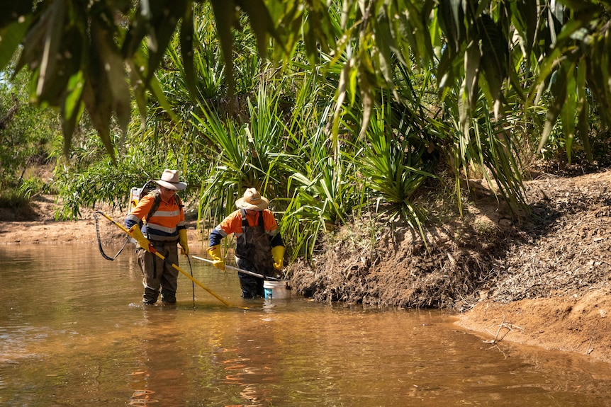 Two people in high-vis shirts hold long rods and walk through a shallow river. 