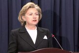 Hillary Clinton called for more action to round up the leaders of Al Qaeda.