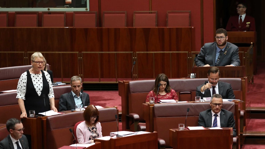 Jordon Steele-John, alone at the back of the chamber, looks on as senator Janet Rice addresses the chamber.