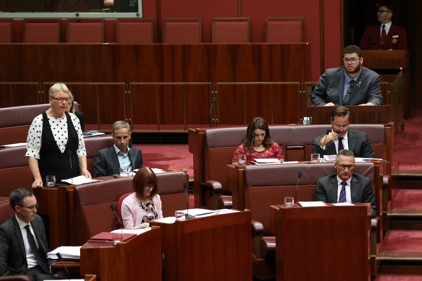 Jordon Steele-John, alone at the back of the chamber, looks on as senator Janet Rice addresses the chamber.
