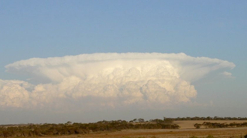 Rainfall in WA's South West is expected to drop by as much as 10 per cent in the next 20 years.