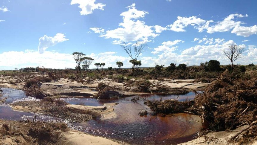 Phillips river crossing Moir Track, Ravensthorpe