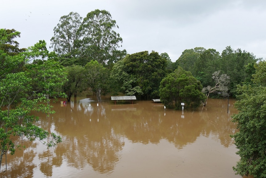 The roofs of public shelters peek through floodwaters in a Lismore park.