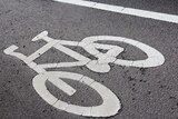 Roadway cycle path; cycleway; cyclist, pedestrian generic