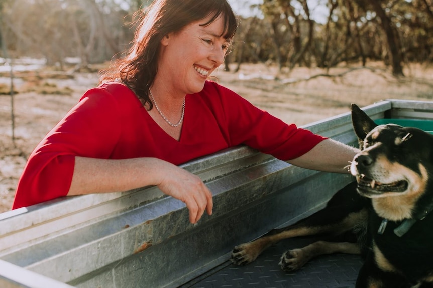 A woman in a red shirt pats and smiles at a dog in the tray of a ute.