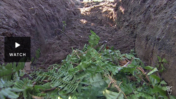 A trench dug in the ground with garden off-cuts in the base. Has Video.