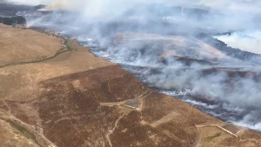 Tarago fire is burning through about 3,300 hectares