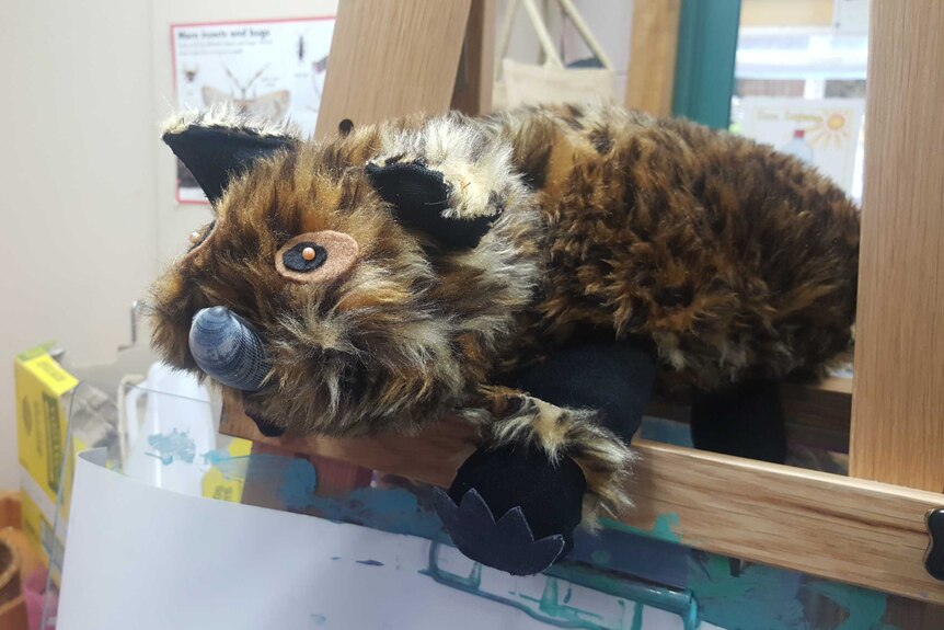 A Queenie the quoll plush toy at a childcare centre