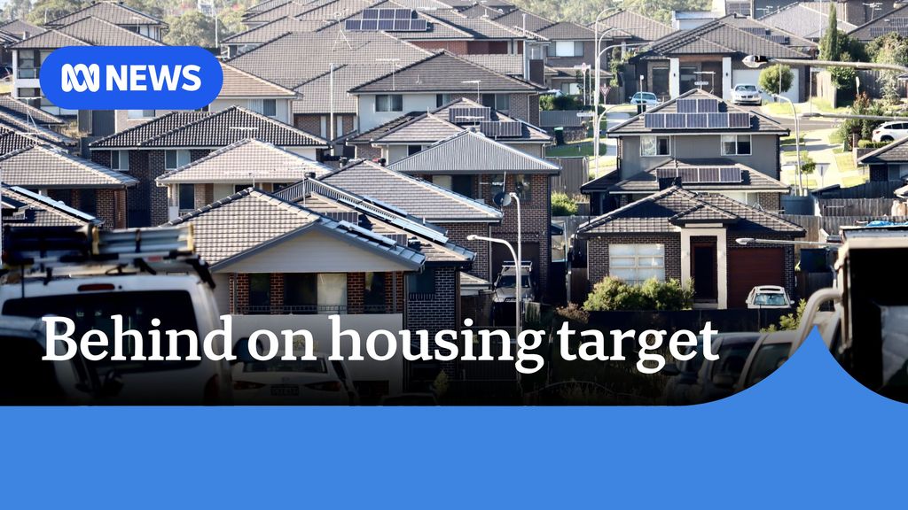 'You're not my king' Lidia Thorpe escorted away after outburst ABC News