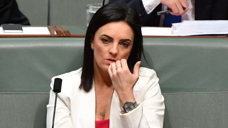 Emma Husar sitting in the House of Representatives with a neutral expression.