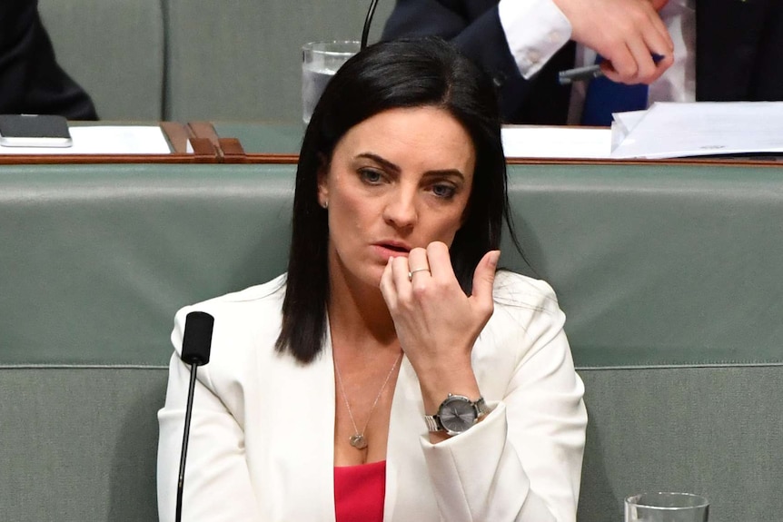 Emma Husar sitting in the House of Representatives with a neutral expression.