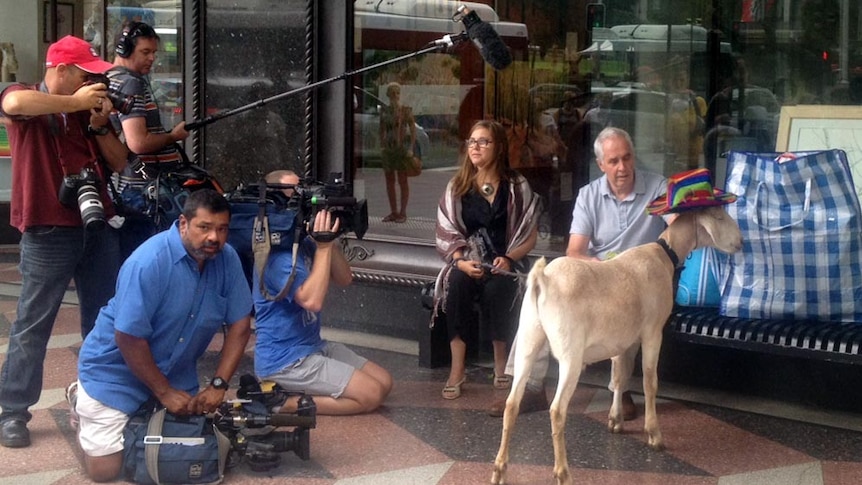 Gary the Goat outside court.