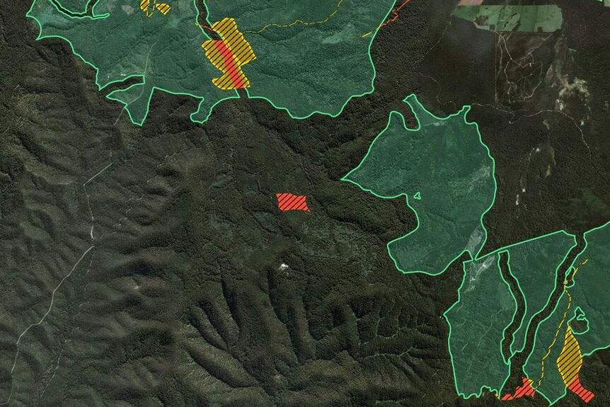 A map shows portions of forest shaded in green. Inside those areas are yellow shaded areas and outside are red shaded areas