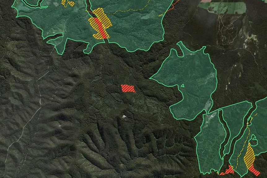 A map shows portions of forest shaded in green. Inside those areas are yellow shaded areas and outside are red shaded areas