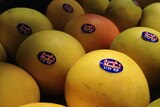 close up of mangoes in a box