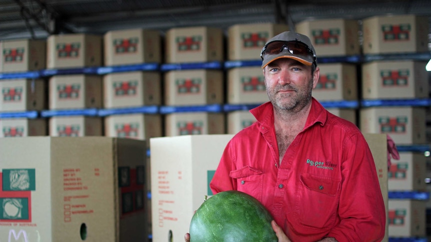 a man holding a watermelon in front of packing boxes