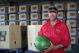 a man holding a watermelon in front of packing boxes
