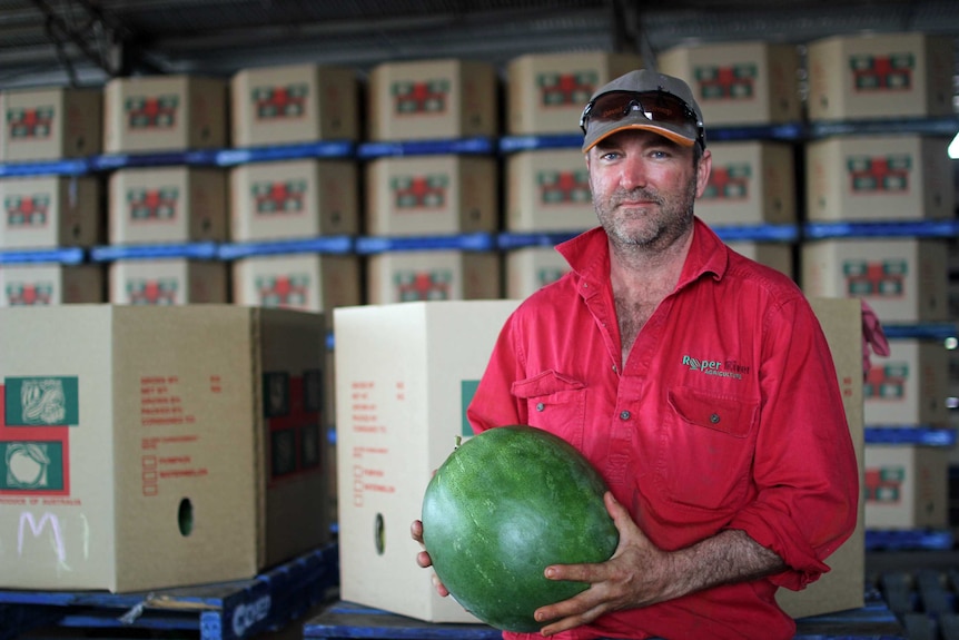 a man holding a watermelon in front of packing boxes