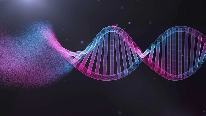 A multicolored DNA strand