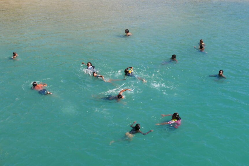 12 children swim in the ocean off Palm Island