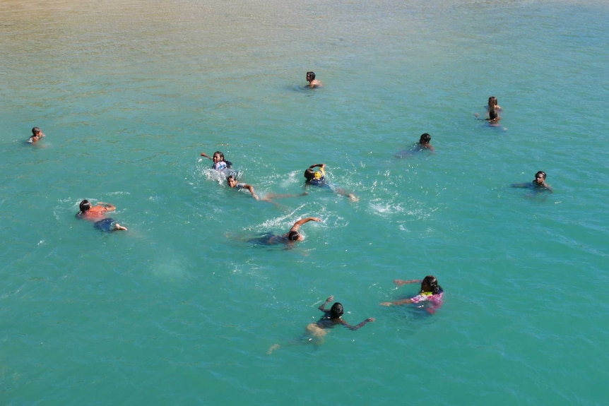 12 children swim in the ocean off Palm Island