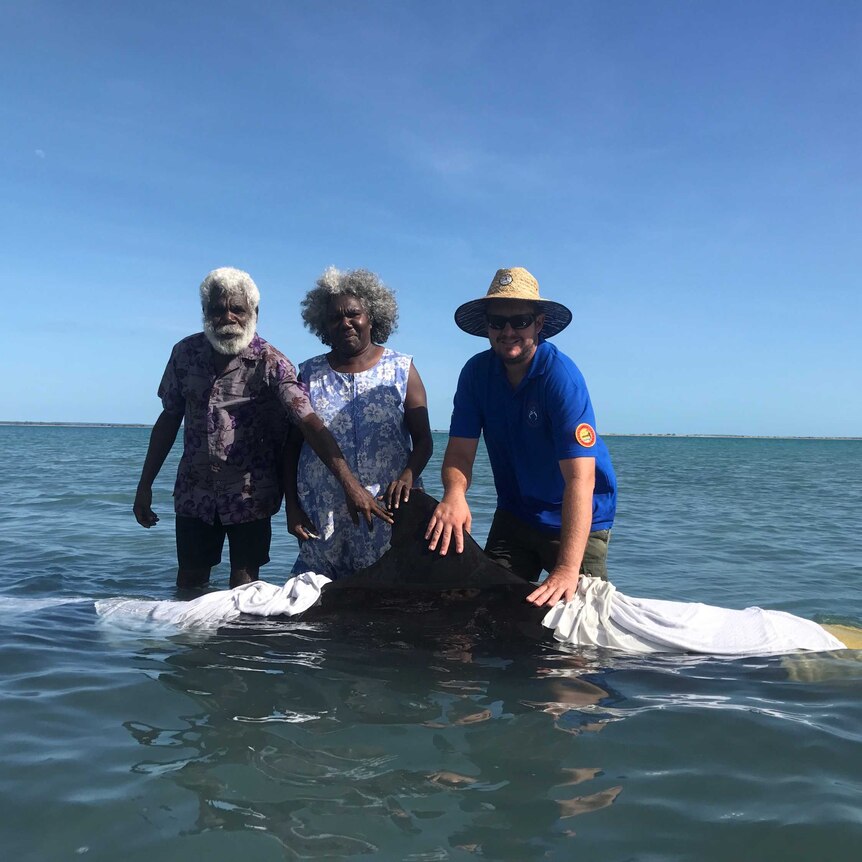 Anindilyakwa Rangers rescue false killer whale at Umbakumba