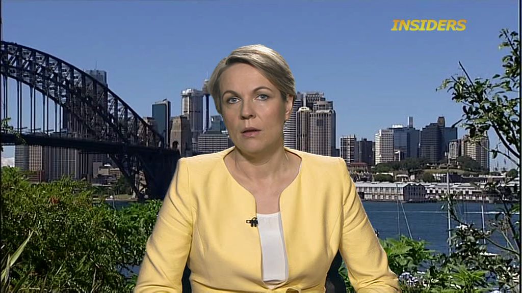 Tanya Plibersek Speaks To Insiders - ABC News