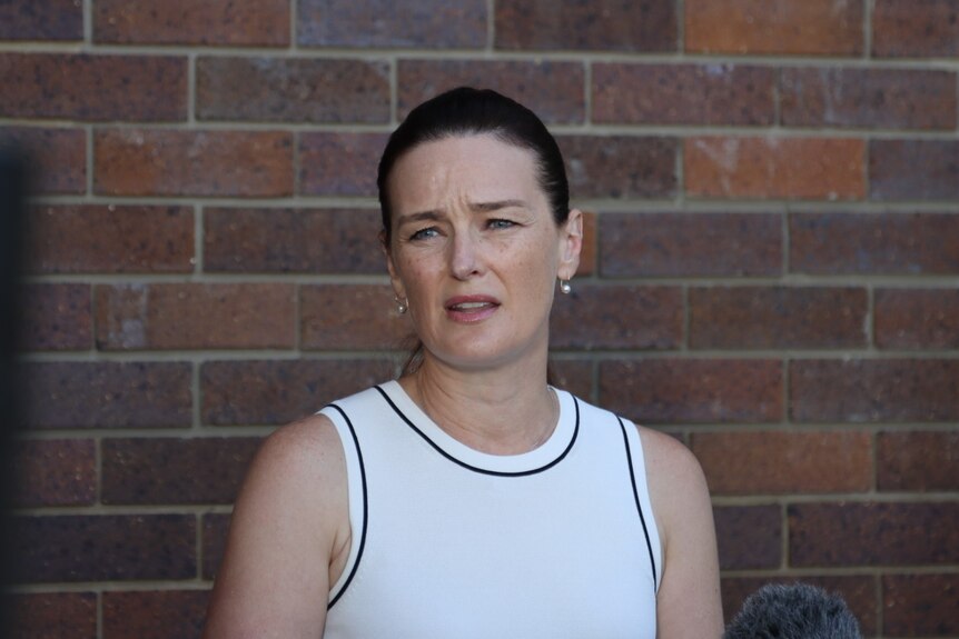 Queensland Youth Justice Minister Leanne Linard speaks in front of brick wall