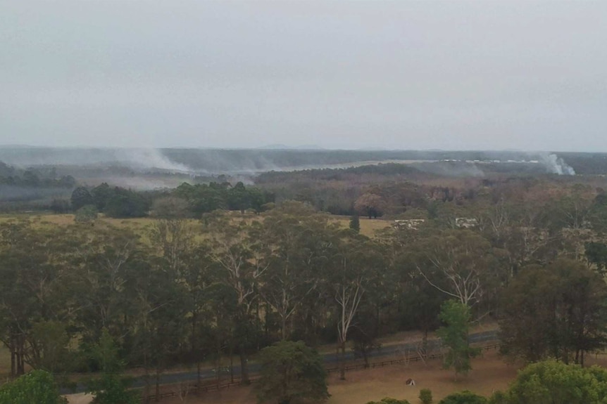 Smoke from an underground fire burns in the bush