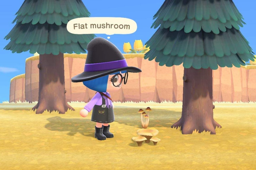 A screenshot from Animal Crossing with a female character looking at a bunch of mushrooms