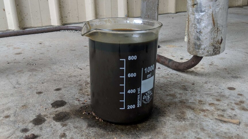 A glass beaker holds a dark liquid