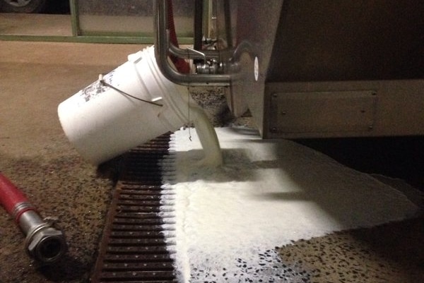 Milk pours from a vat into a drain.
