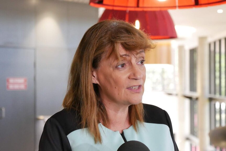 Headshot photo of Townsville Mayor Jenny Hill.