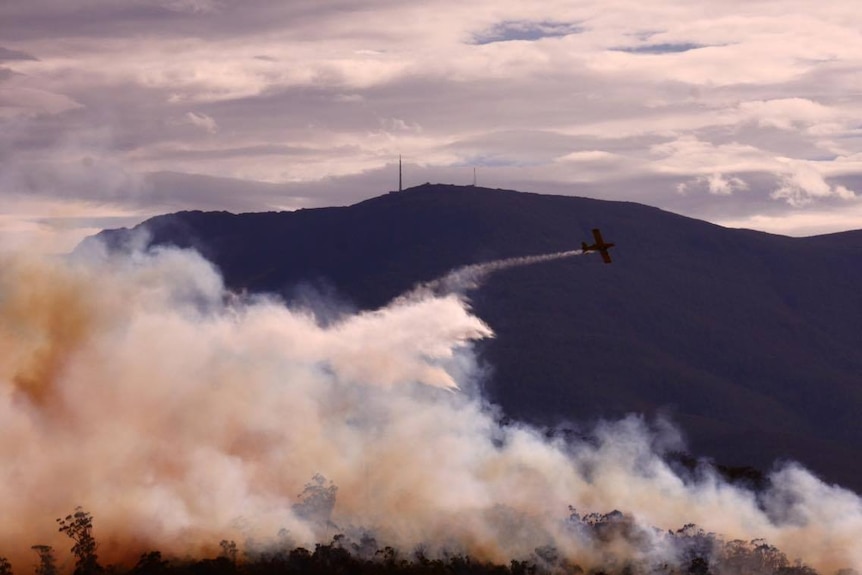 A water bombing plane over smoke from Lindisfarne fire