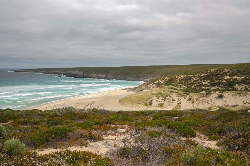 A view of Sandy Beach on Kangaroo Island, cloudy skies, blue ocean waves, a pristine beach and a green headland.
