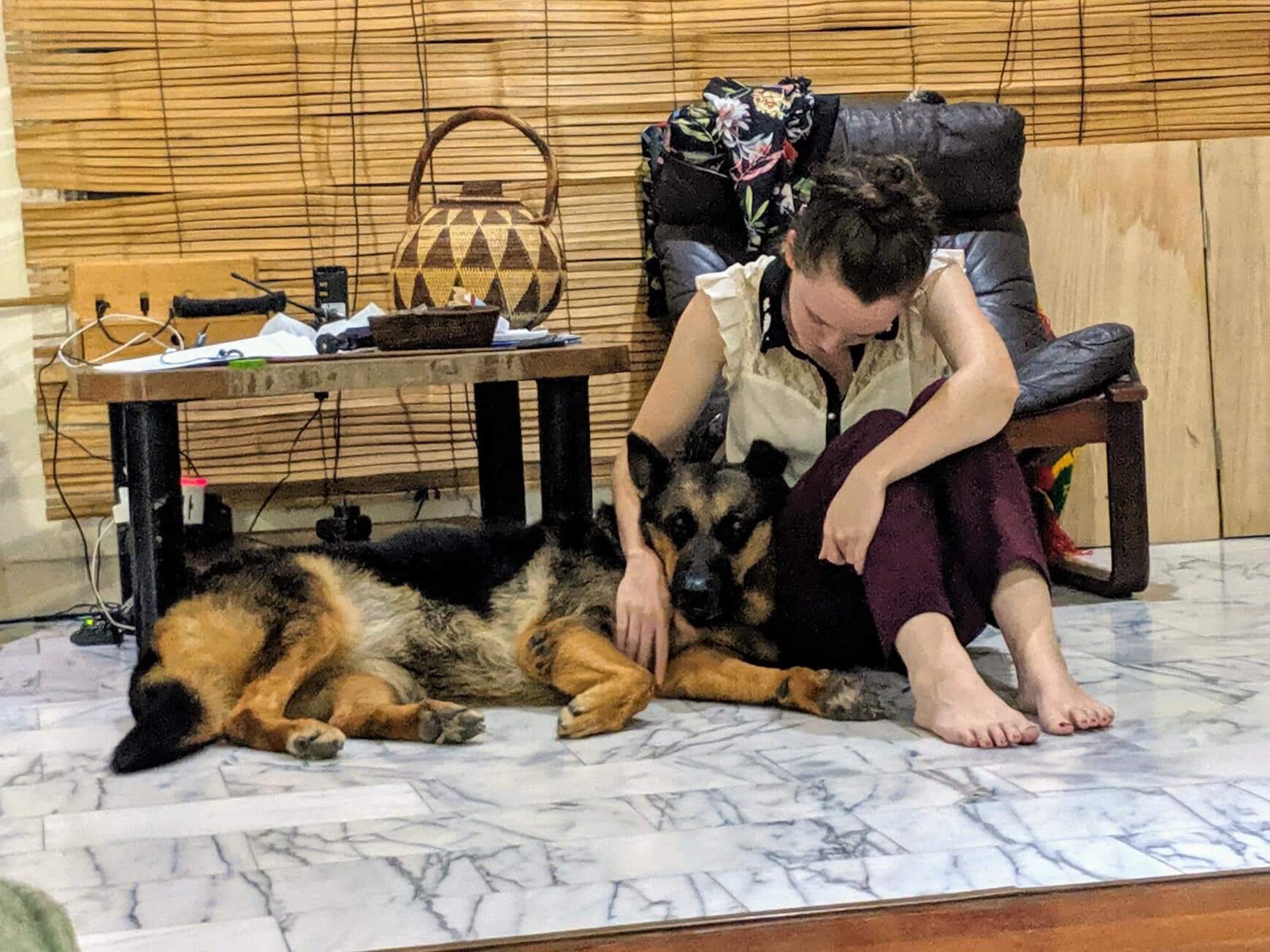A young woman sits on the floor cuddling a lolling German Shepherd