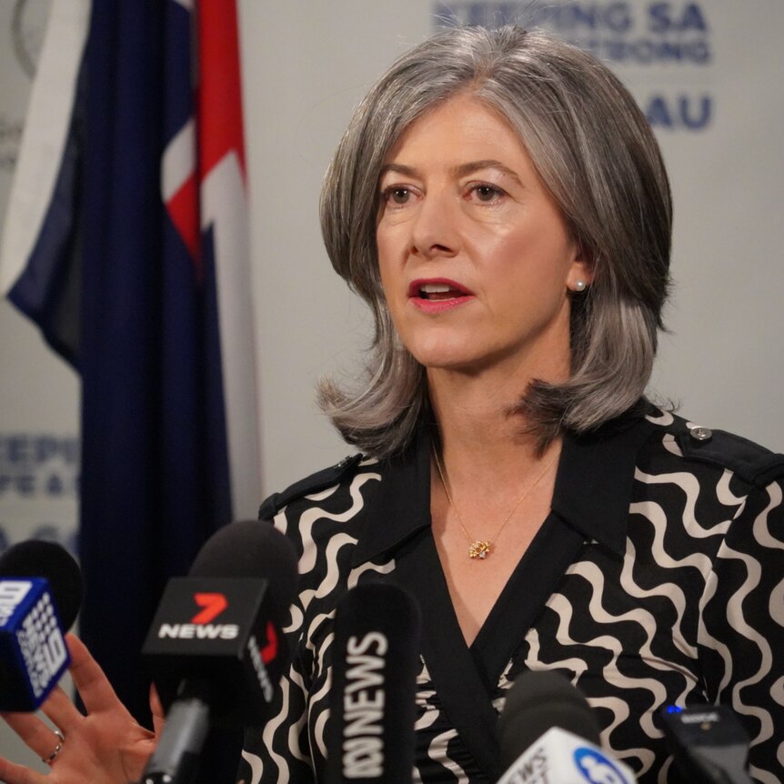 A woman with grey hair standing in front of microphones