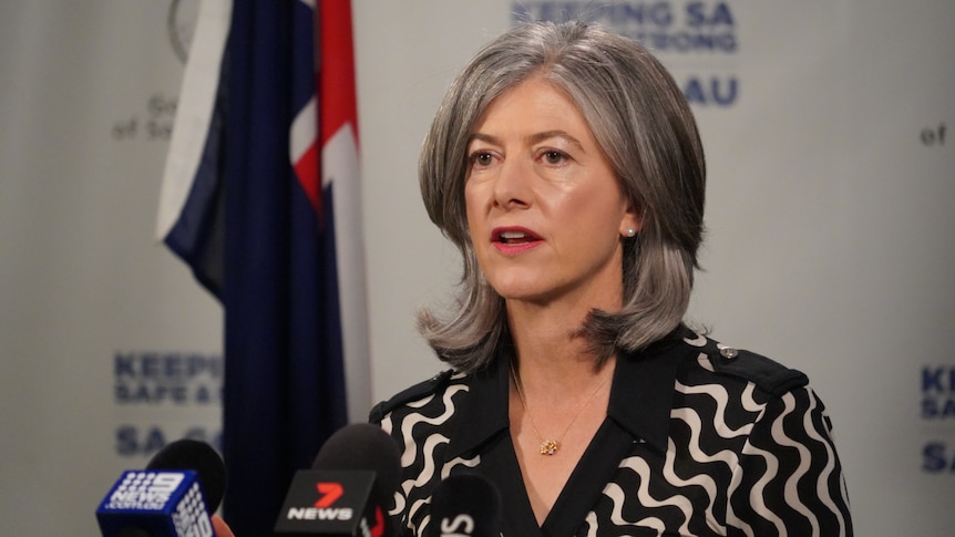 A woman with grey hair standing in front of microphones