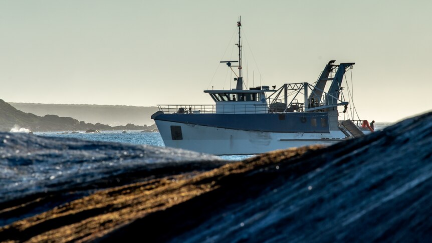 Early morning photo of fishing trawler sailing into bay surrounded by sparkling ocean, jagged rocks and crashing waves