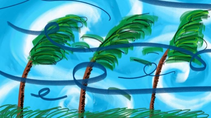 Illustration of palm trees flapping about in the wind.